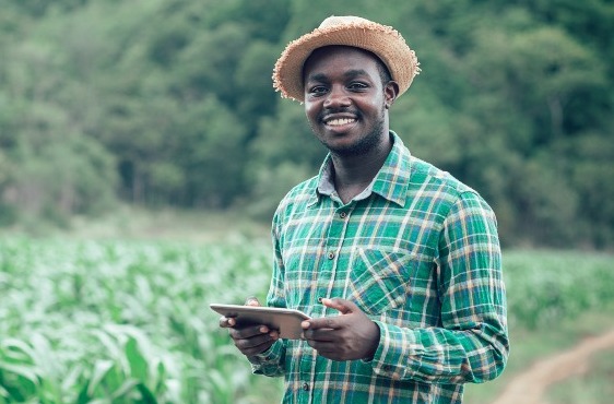 An African farmer using a tablet in a lush green field, highlighting modern agricultural development.