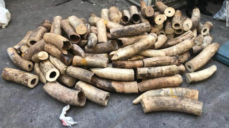 Tracing an International Crime Ring Shipping Ivory from Africa