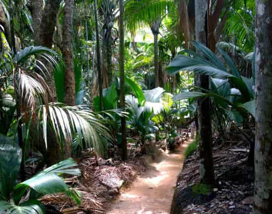 Seychelles has Some of the Most Amazing Nature Walks and Trails