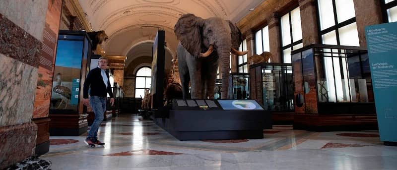 Belgium is Ready to Return Congolese Looted Artefacts