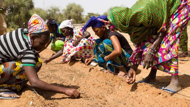 The New World Wonder: A 100 Million Hectares Wall To Protect Africa