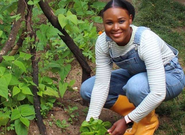 African Wholefoods Could Be The Answer To African Food Insecurity