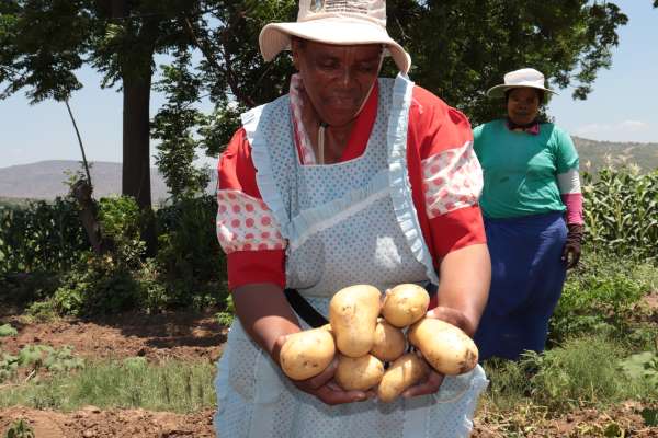 OneFarm Share: Celebrating One Year Of Collaboration And Impact