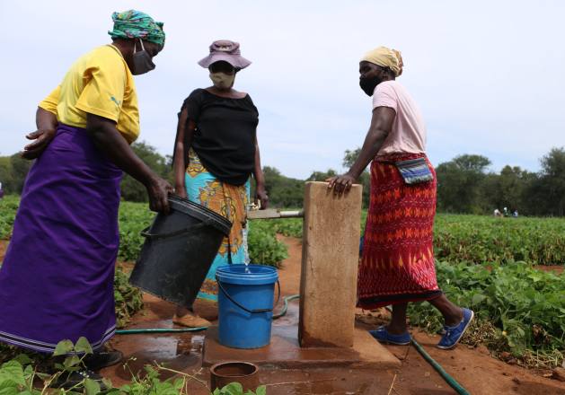 Women collecting groundwater for irrigation in African farmland.