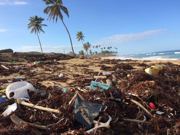 Beach pollution with plastic waste and natural debris along the shoreline.