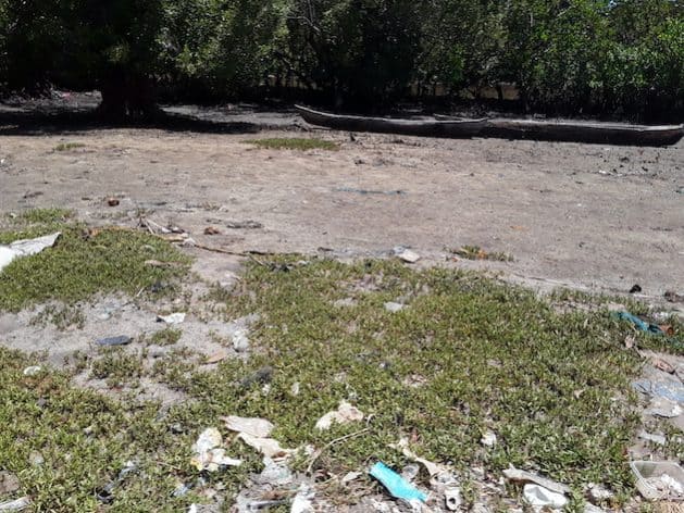 World Environment Day: Burden Of Environmental Decline Falls Heavily On Poor And Vulnerable
