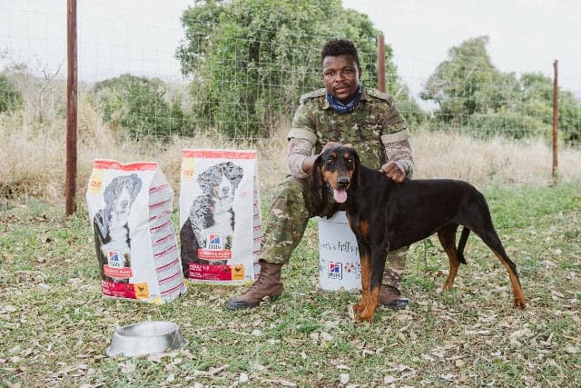 Paws And Boots Together On The Ground Fighting Poaching