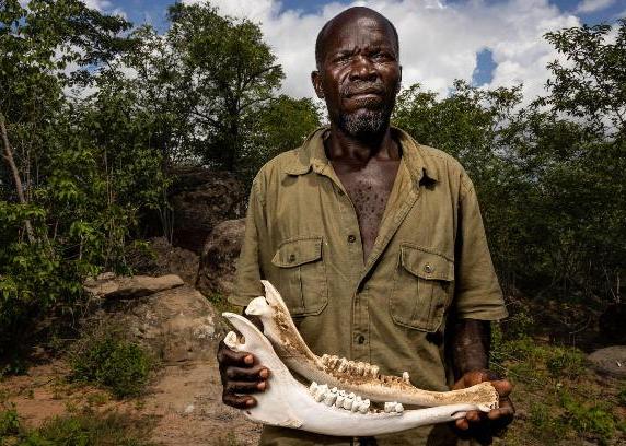 Bringing People Virtually To Africa’s Bushmeat Hubs