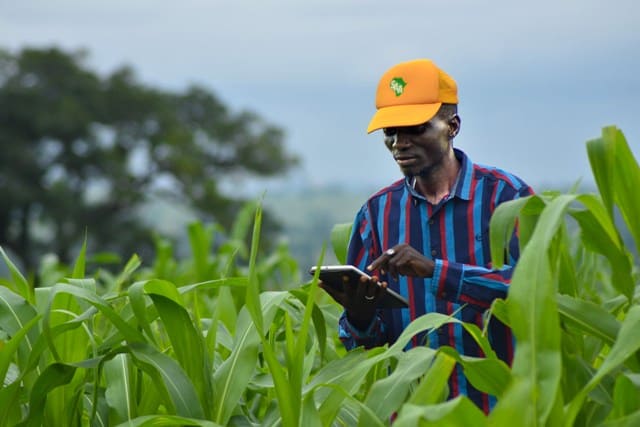 Climate Change – The Real Threat To Farming Profitably
