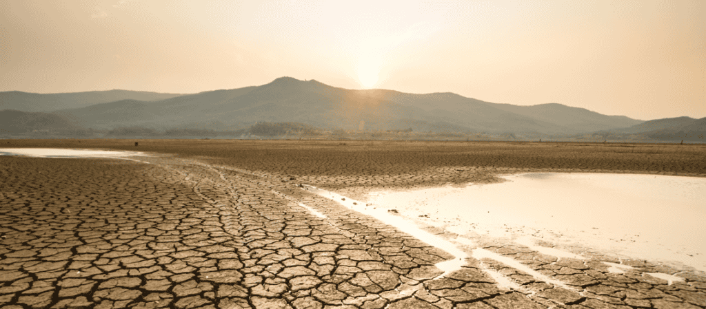Climate Induced Stranded Assets