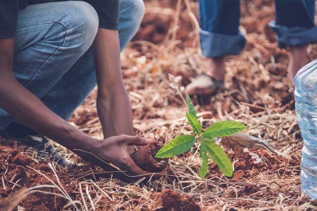 Climate Action Plans Could Help Address Injustice, Inequity In African Cities