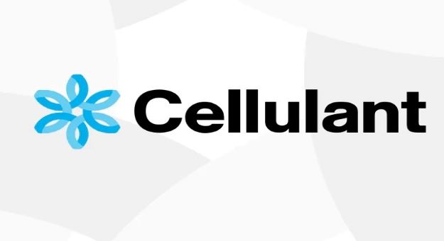 Cellulant logo representing top payment brand in Kenya.