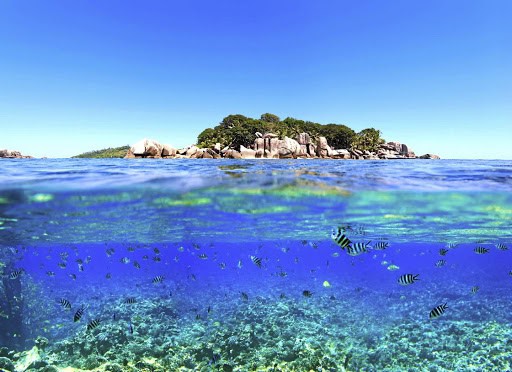 Africa’s Valuable Ocean Resources have Drawn the Interest of Foreign Nations