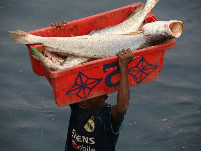 Guinea’s Health Services Scramble to Diagnose Fishermen