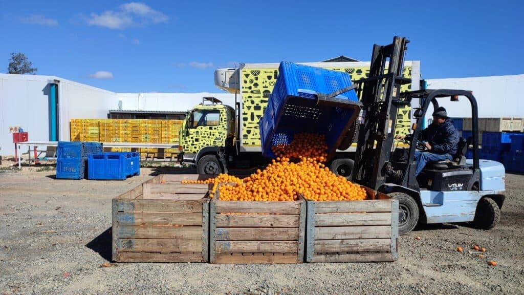 SA Harvest Calls on the Logistics Industry for Support in Reducing Food Waste and Hunger