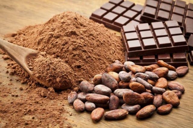 Cocoa processing powers Ghana’s export surge