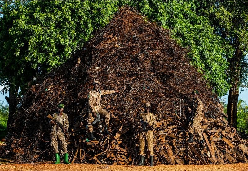 12-tonne Pile of Tangled Snares and Metal Traps Reveal Ongoing Battle against Poachers in Uganda