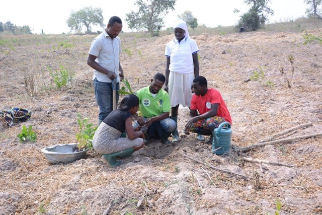 AstraZeneca Strengthens Support For Ecological And Community Resilience In Ghana And Rwanda Through Expansion Of Global AZ Forest Initiative