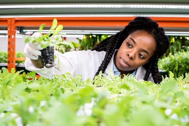Accelerating Progress Towards Gender Equality In Food Systems Could Help Reverse Recent Spikes In Hunger And Poverty, Finds New Report