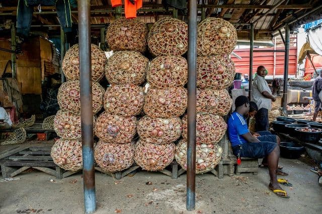 Nigeria’s Plans to Boost Food Supply to Reduce Inflation