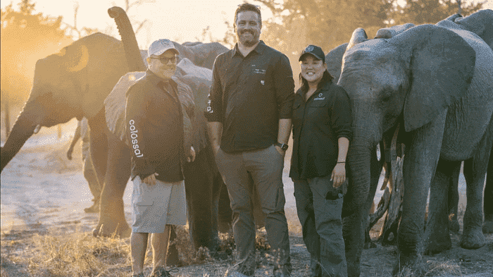Orphaned Elephants in Botswana are About to Receive Some Help
