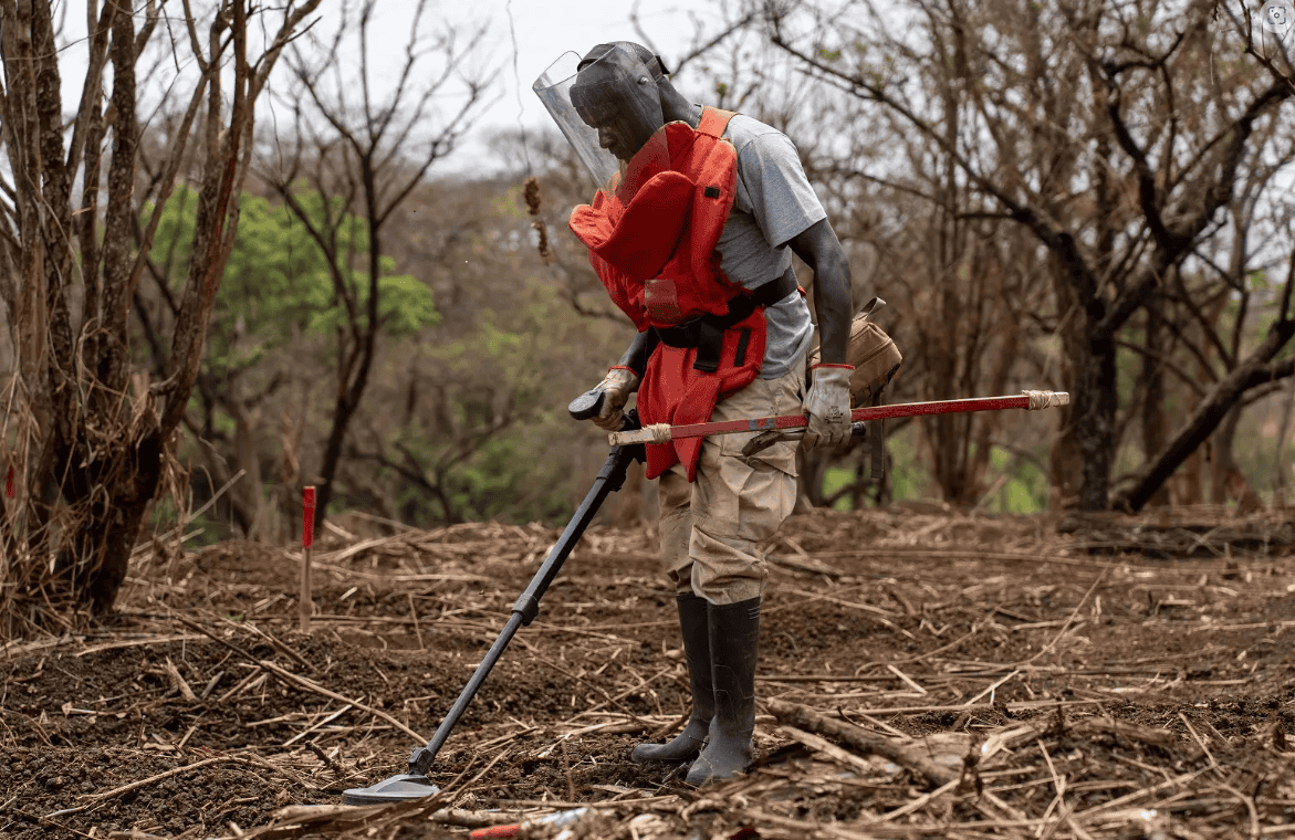 A worker using a metal detector to locate unexploded cluster munitions in a rural area of South Suda.