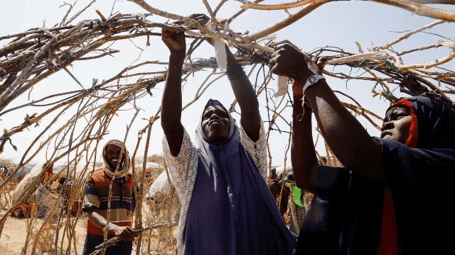 Activists, Chefs Back ‘Elephant In The Room’ Campaign Calling For Urgent Action On Global Food Crisis At Upcoming UN Meetings