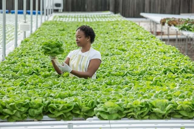 IBM Cloud Carbon Calculator Helps Organizations Advance Sustainability Objectives And Address Greenhouse Gas Emissions