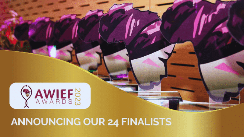 Finalists of the 2023 AWIEF Awards celebrating women entrepreneurs in Africa.