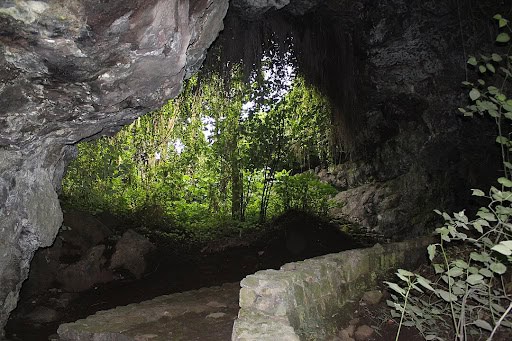 Bats Musanze caves