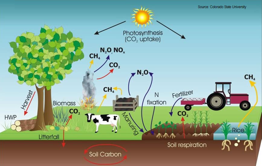 Illustration of greenhouse gases and their effects on Africa's environment.