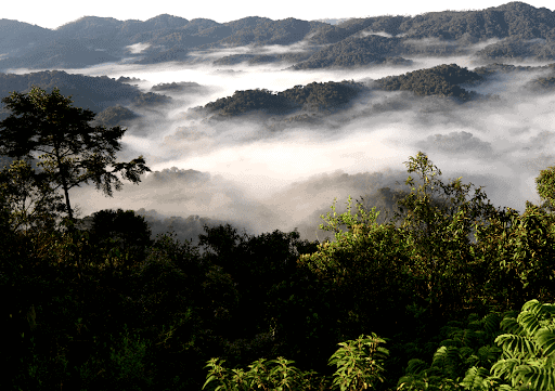 4 Of The Best Places To Visit & Things To Do In Rwanda