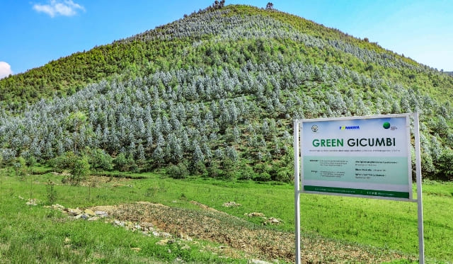Rwanda is Set to Launch its Carbon Market Scheme at COP28