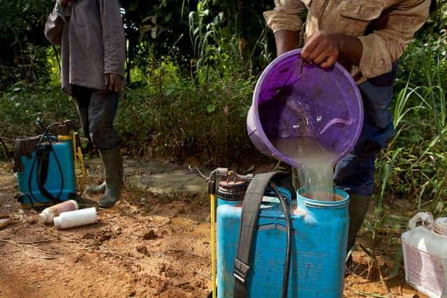 Weaning Nigeria Off Pesticides 