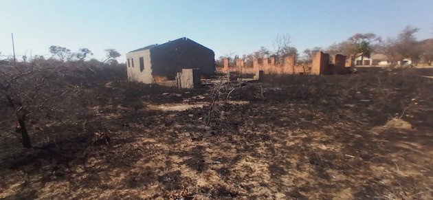 Zimbabwe’s Food Security Ambitions In El Niño’s Crosshairs