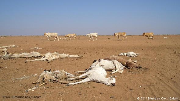 Conflict Pushes the Climate Crisis to the Back-burner