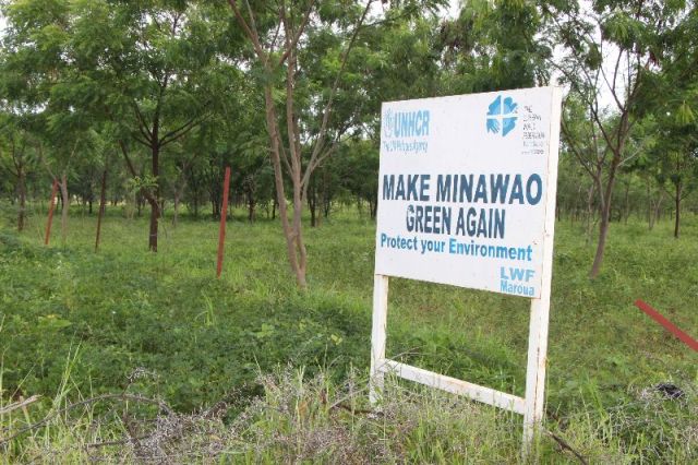 Reforestation Efforts at Refugee Camp Bear Fruit