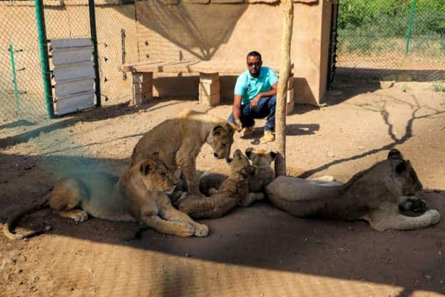 How the Head of an Animal Rescue Centre in Khartoum Got Stranded Animals Out of a War Zone