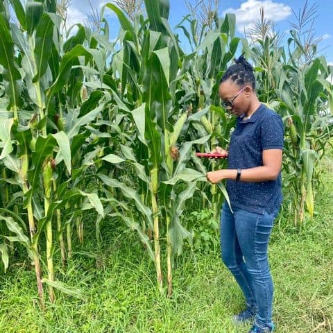Delivering Meaningful Results for Agriculture and Food Systems