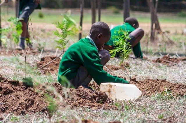 Hundreds of People Showed Up to Plant Saplings for Kenya’s First National Tree Planting Holiday