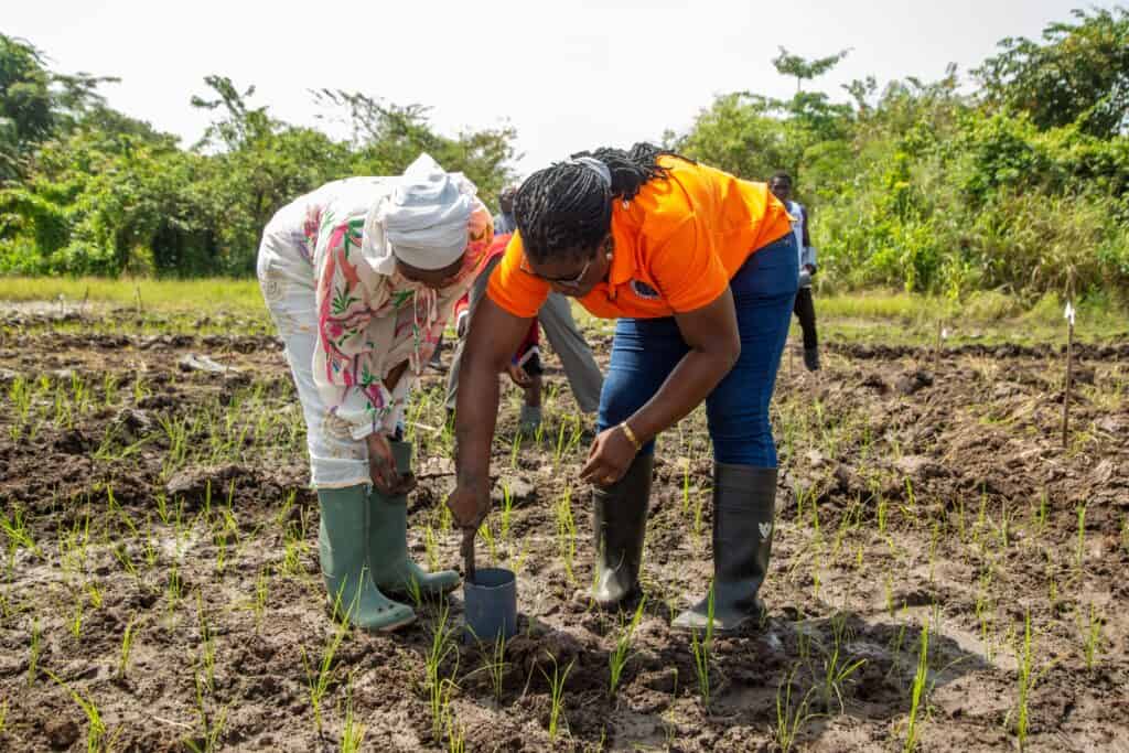 Patricia Oteng Darko a farmer