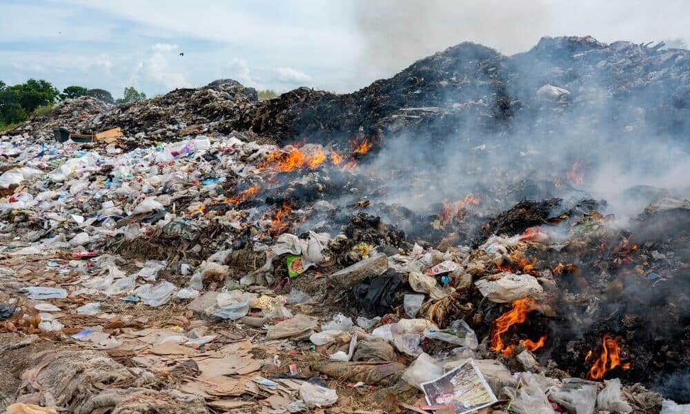 WWF Calls On Countries To Stand Firm As Delaying Tactics Drive Global Plastic Pollution Treaty Talks Into Deadlock