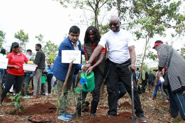 People planting trees during a community environmental project in Nairobi, Kenya.