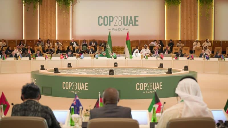 African Leaders are Eyeing Carbon Markets as a Source of Scarce Capital