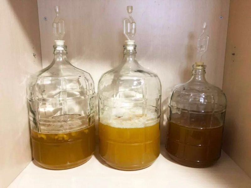 Study Examines Ways to Improve the Production of Nigeria’s Plantain Wine to Create More Jobs