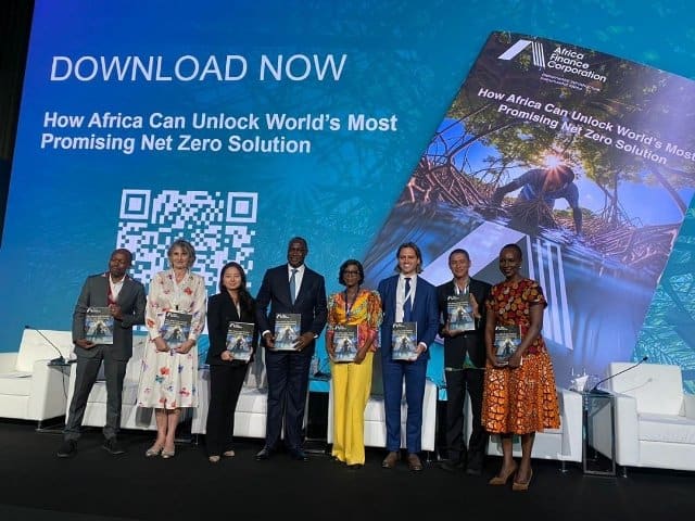 How Africa Can Unlock World’s Most Promising Net Zero Solution 