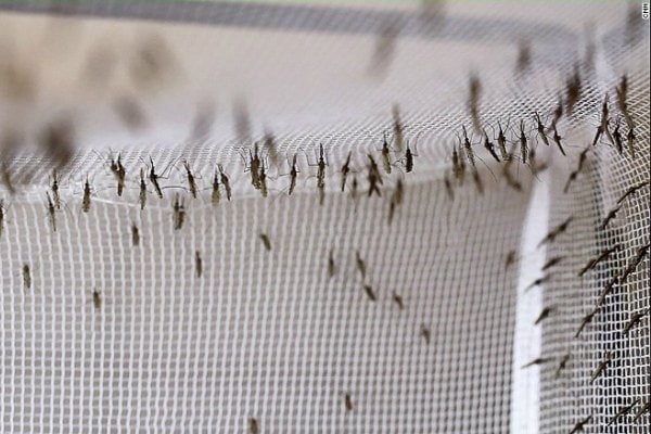 Ghana is Moving to the “Elimination Phase” in its Longstanding Battle with Malaria