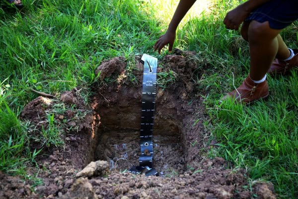Food and Agriculture Organization (FAO) welcomes  million additional funding from the United States of America for soil fertility mapping projects
