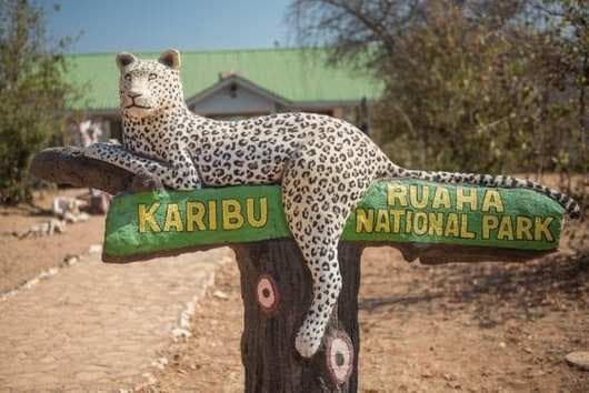 World Bank Looks into Tanzania Conservation Project 