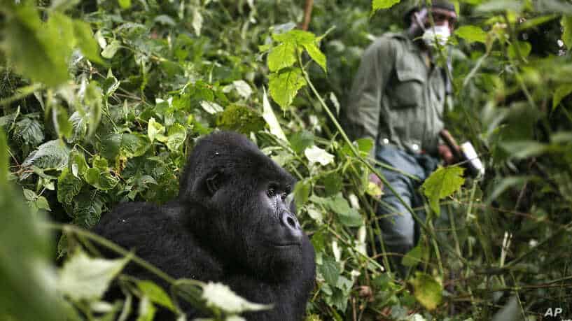 Africa Offers a Plethora of Incredible Tours that are Perfect for the Holiday Season                        